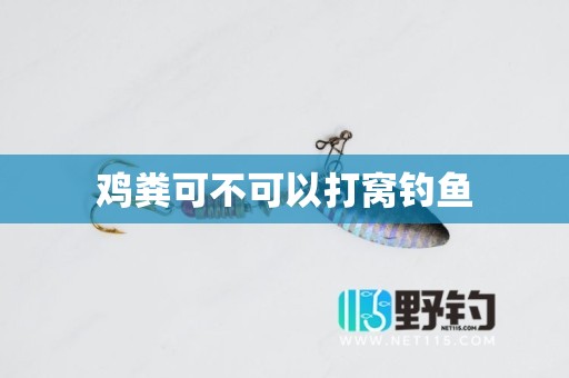 鸡粪可不可以打窝钓鱼