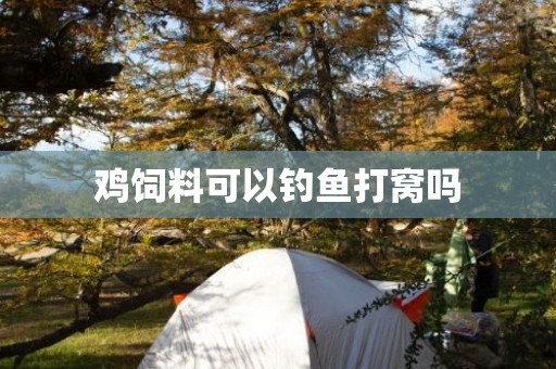 鸡饲料可以钓鱼打窝吗
