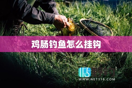 鸡肠钓鱼怎么挂钩