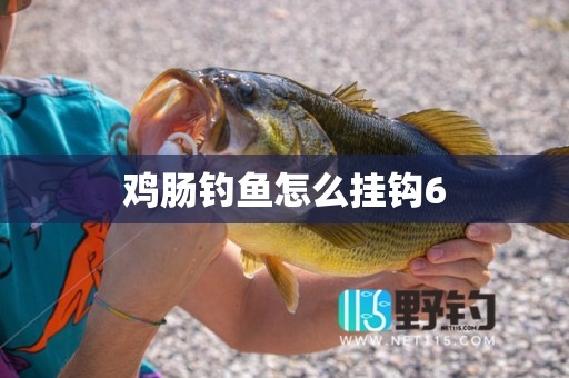 鸡肠钓鱼怎么挂钩6