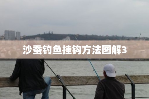 沙蚕钓鱼挂钩方法图解3