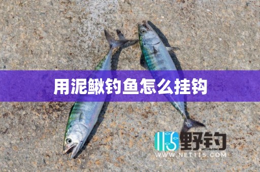用泥鳅钓鱼怎么挂钩