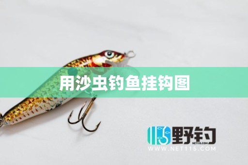 用沙虫钓鱼挂钩图
