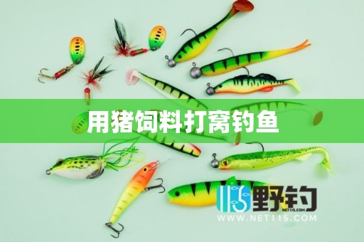 用猪饲料打窝钓鱼