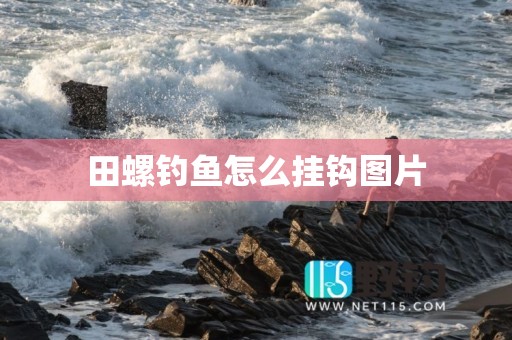 田螺钓鱼怎么挂钩图片
