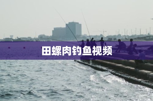 田螺肉钓鱼视频