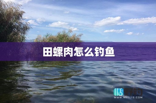 田螺肉怎么钓鱼