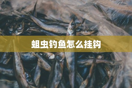 蛆虫钓鱼怎么挂钩