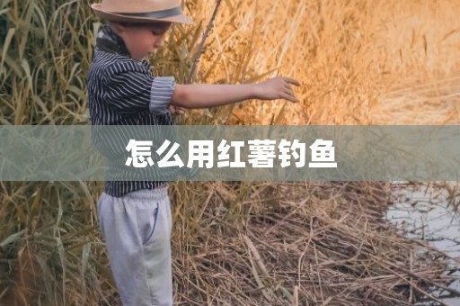 怎么用红薯钓鱼