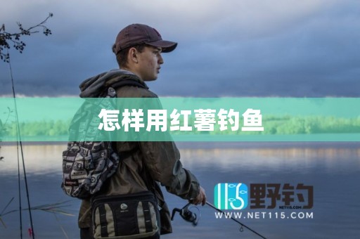 怎样用红薯钓鱼
