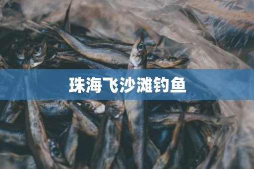 珠海飞沙滩钓鱼