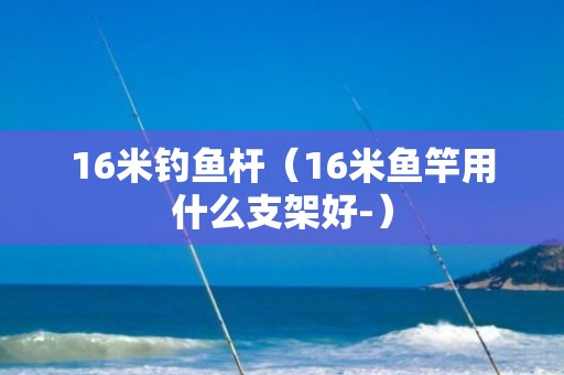 16米钓鱼杆（16米鱼竿用什么支架好-）