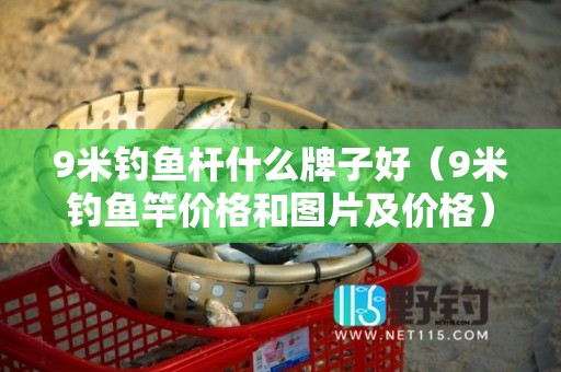 9米钓鱼杆什么牌子好（9米钓鱼竿价格和图片及价格）