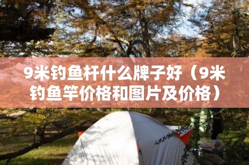 9米钓鱼杆什么牌子好（9米钓鱼竿价格和图片及价格）3