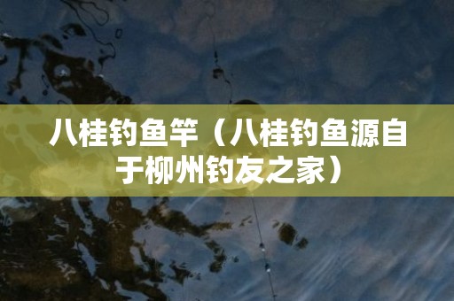 八桂钓鱼竿（八桂钓鱼源自于柳州钓友之家）