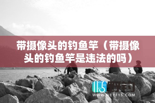 带摄像头的钓鱼竿（带摄像头的钓鱼竿是违法的吗）