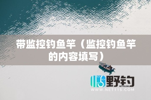 带监控钓鱼竿（监控钓鱼竿的内容填写）