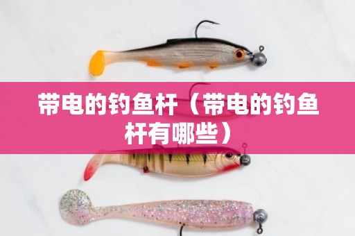 带电的钓鱼杆（带电的钓鱼杆有哪些）