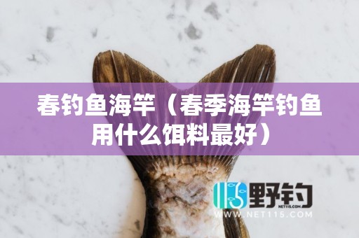 春钓鱼海竿（春季海竿钓鱼用什么饵料最好）