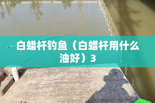 白蜡杆钓鱼（白蜡杆用什么油好）3