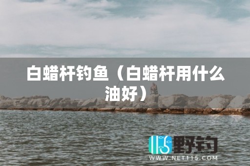 白蜡杆钓鱼（白蜡杆用什么油好）