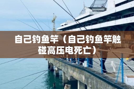 自己钓鱼竿（自己钓鱼竿触碰高压电死亡）