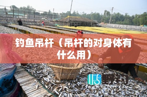 钓鱼吊杆（吊杆的对身体有什么用）