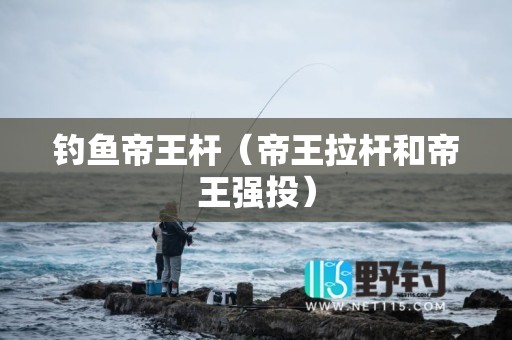 钓鱼帝王杆（帝王拉杆和帝王强投）