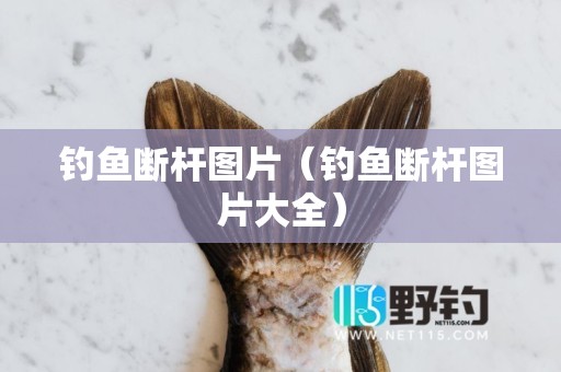 钓鱼断杆图片（钓鱼断杆图片大全）