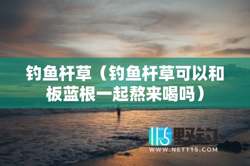 钓鱼杆草（钓鱼杆草可以和板蓝根一起熬来喝吗）