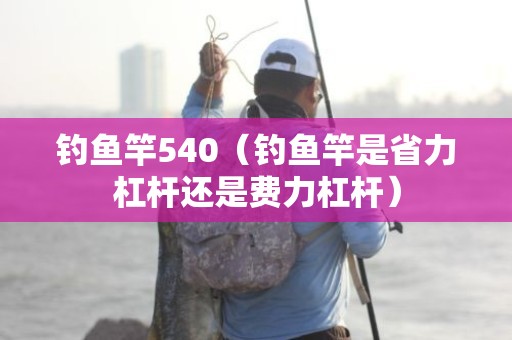 钓鱼竿540（钓鱼竿是省力杠杆还是费力杠杆）