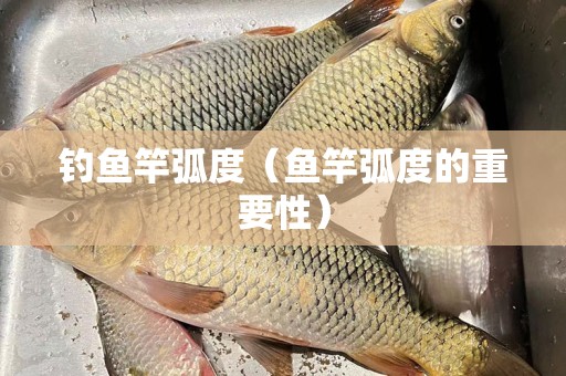钓鱼竿弧度（鱼竿弧度的重要性）