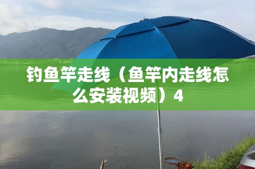 钓鱼竿走线（鱼竿内走线怎么安装视频）4