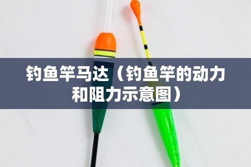 钓鱼竿马达（钓鱼竿的动力和阻力示意图）