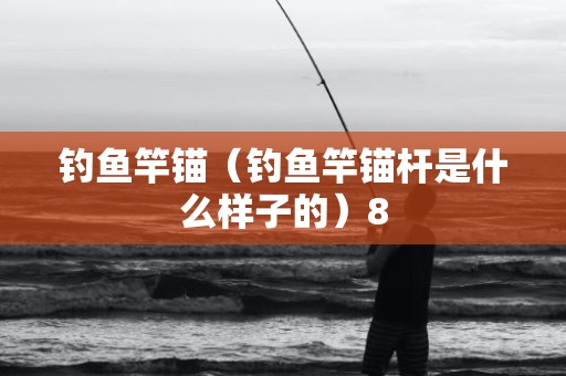 钓鱼竿锚（钓鱼竿锚杆是什么样子的）8