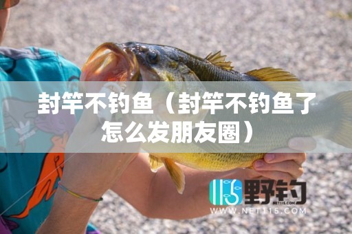 封竿不钓鱼（封竿不钓鱼了怎么发朋友圈）