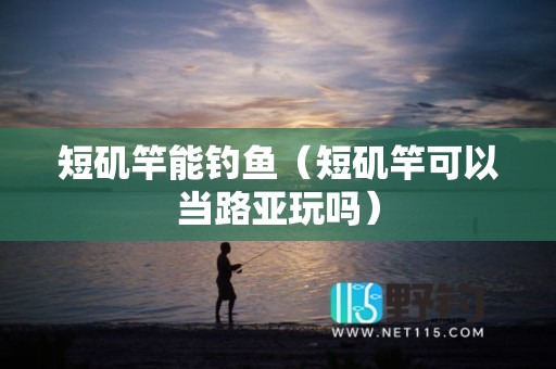 短矶竿能钓鱼（短矶竿可以当路亚玩吗）
