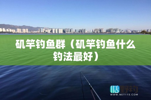 矶竿钓鱼群（矶竿钓鱼什么钓法最好）