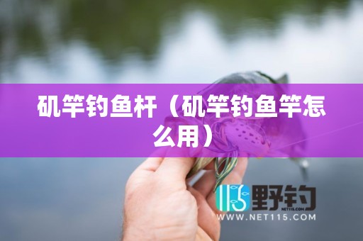 矶竿钓鱼杆（矶竿钓鱼竿怎么用）