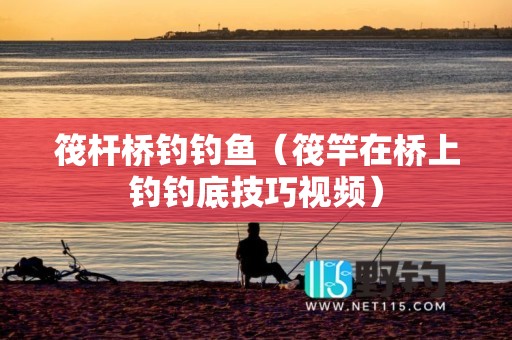 筏杆桥钓钓鱼（筏竿在桥上钓钓底技巧视频）
