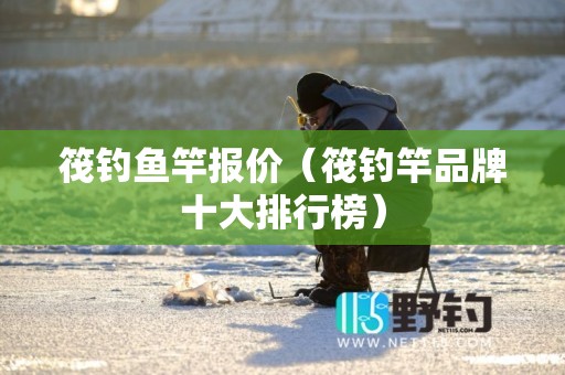 筏钓鱼竿报价（筏钓竿品牌十大排行榜）