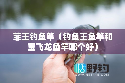 菲王钓鱼竿（钓鱼王鱼竿和宝飞龙鱼竿哪个好）