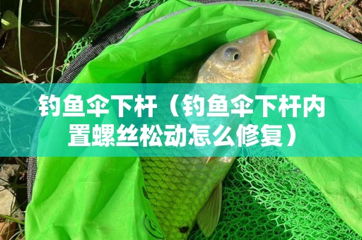 钓鱼伞下杆（钓鱼伞下杆内置螺丝松动怎么修复）