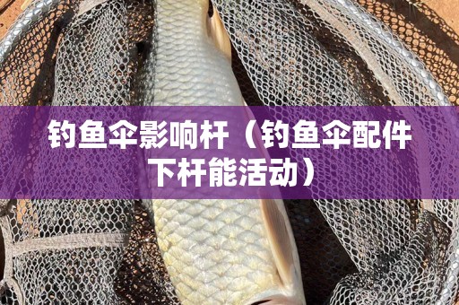 钓鱼伞影响杆（钓鱼伞配件下杆能活动）