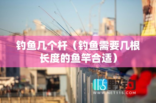 钓鱼几个杆（钓鱼需要几根长度的鱼竿合适）