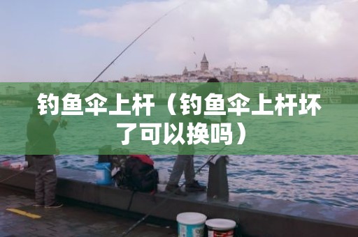 钓鱼伞上杆（钓鱼伞上杆坏了可以换吗）