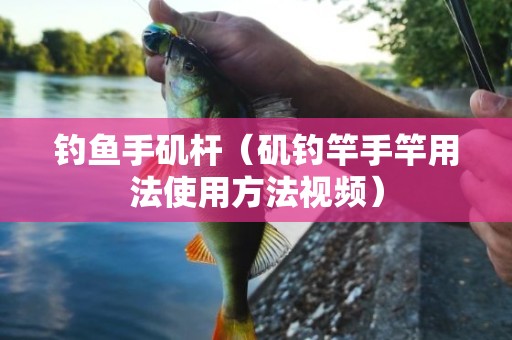 钓鱼手矶杆（矶钓竿手竿用法使用方法视频）