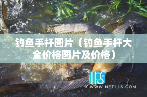 钓鱼手杆图片（钓鱼手杆大全价格图片及价格）