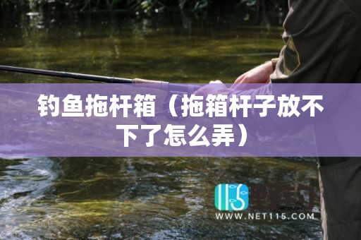 钓鱼拖杆箱（拖箱杆子放不下了怎么弄）