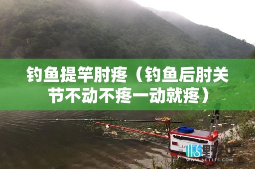 钓鱼提竿肘疼（钓鱼后肘关节不动不疼一动就疼）